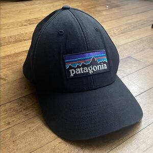 Patagonia baseball hat